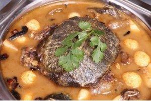 私房甲魚