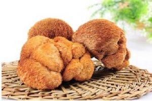這種有“素中葷”之稱的食材，你見過嗎？
