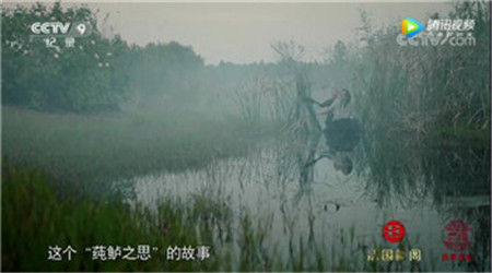 《舌尖3》弄錯的鱸魚，原來長這樣！