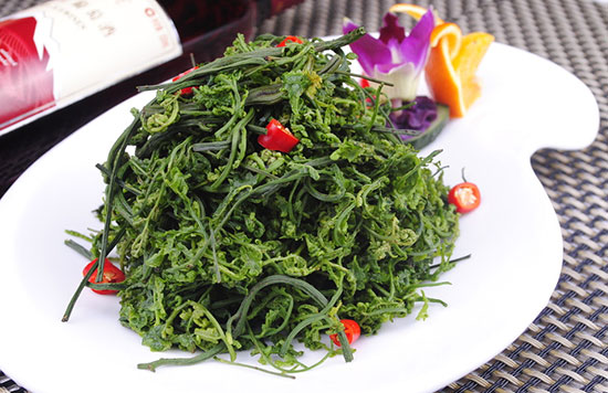 【云龍菜】山野菜之王——云龍菜的營養價值