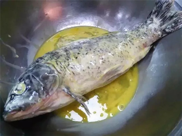 【江湖菜】鹵湯烤魚
