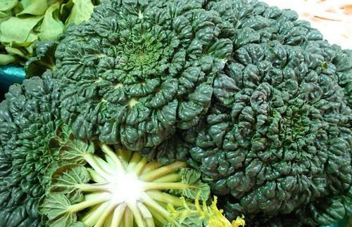 這種時令野菜賽羊肉，好吃又健康！