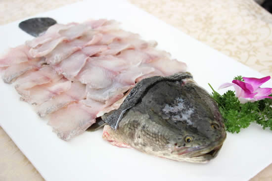【烏鱧】烏鱧，兇悍卻肉質甜美——烏鱧