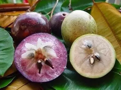 28種奇異果子，認(rèn)識(shí)一半算你牛X！