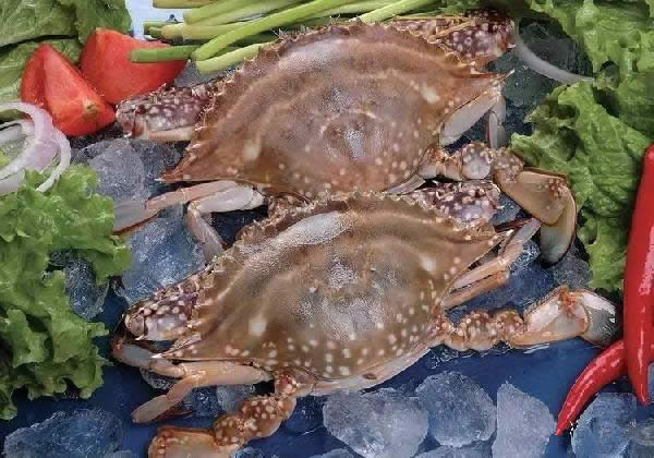 帶魚、黃魚、三文魚等海鮮的分辨挑選小技巧？