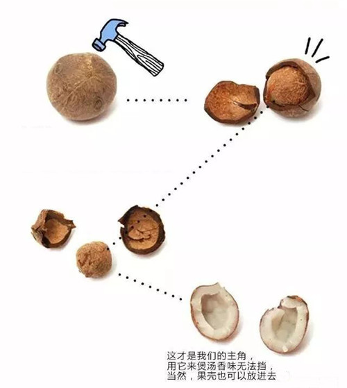 這種海椰子之皇，很少廚師做過！