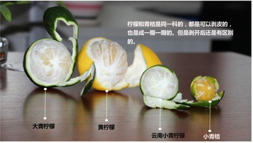 黃檸、青檸、青桔有什么區別？看完這篇文章你就懂了！
