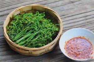 蕨菜有毒不敢用？看完這篇文章全明白了！