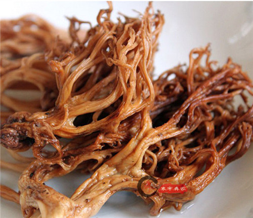 比鹿茸還強(qiáng)大的菌，你見過嗎？