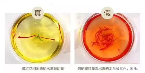 真假藏紅花，教你辨別它！