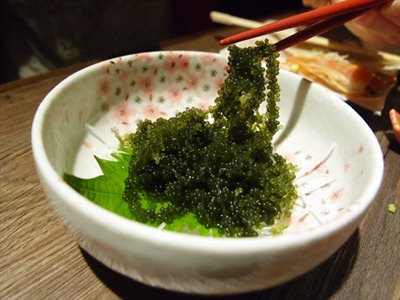 【海葡萄】綠色“魚子醬”，你見過嗎？