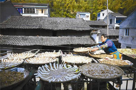 【天目筍干】舌尖上的美味--天目筍干