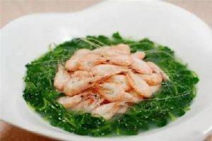 春季野菜之王，大眾食客的最愛！