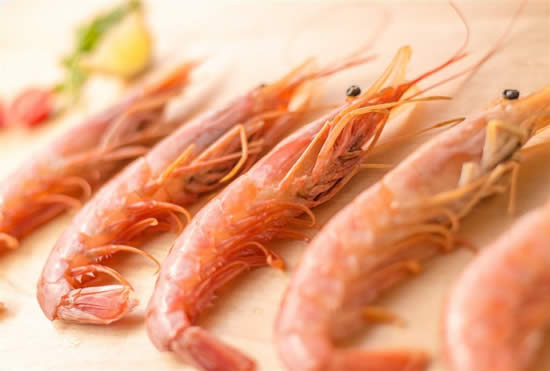 【牡丹蝦】全球海蝦中的極品：牡丹蝦走紅餐桌