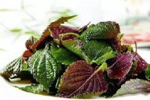 在中國生根，在外國揚名的特色香料