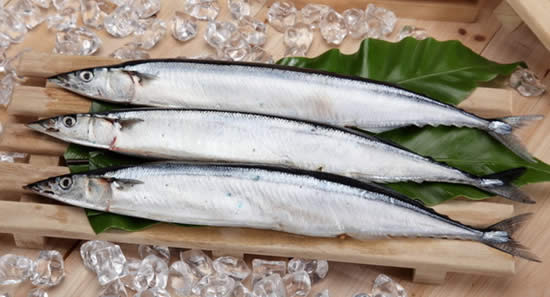 【秋刀魚】初戀的滋味——秋刀魚