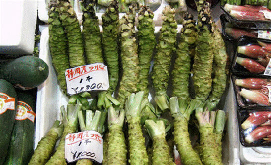 知識庫｜用了這么久，才知道99%都是“假芥末”！ .jpg