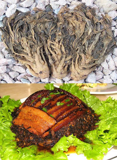 這五種常用的菜根食材，沒想到竟然都是…