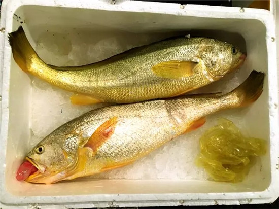 12種中國最珍貴的頂級食用魚