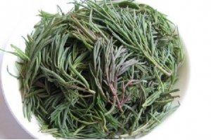 長在海邊的野草，餐桌上的鮮美