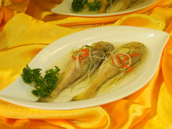 【梅童魚】梅熟魚來的大頭小眼魚——梅童魚
