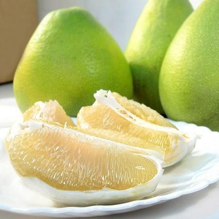 柚子的產地分布