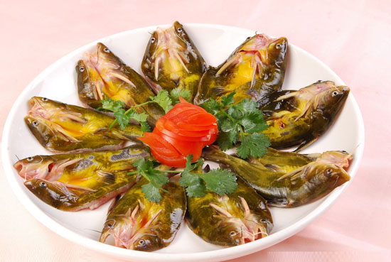 黃顙魚的功效作用