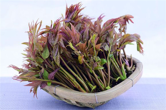 春季第一時令蔬菜，你不能不知！
