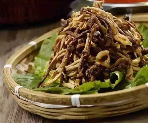 比鹿茸還強(qiáng)大的菌，你見過嗎？