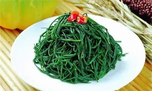 【沙蔥】天賜草原的“菜中靈芝”