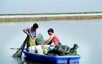 假的陽澄湖大閘蟹你還買？聰明人都去這些地區買了！