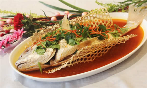 【黃姑魚】會發(fā)出聲音的魚——黃姑魚