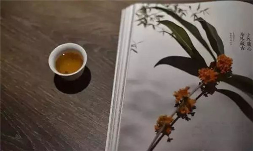 【桂花】沁人心脾的香味，甜香氤氳的食材