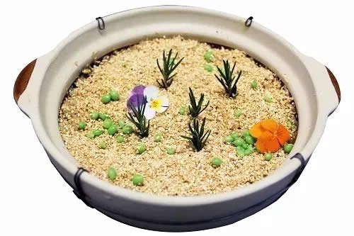 【創新菜】盆景蛋炒飯