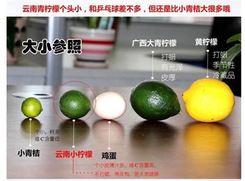 黃檸、青檸、青桔有什么區別？看完這篇文章你就懂了！