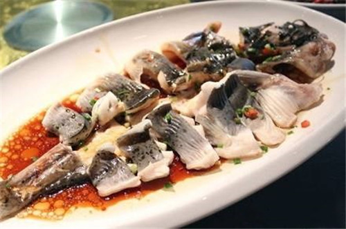 兩廣發(fā)現(xiàn)怪異鯰魚(yú)，疑似入侵物種，專家：釣到一條就能發(fā)財(cái)