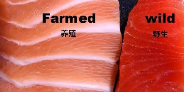 帶魚、黃魚、三文魚等海鮮的分辨挑選小技巧？