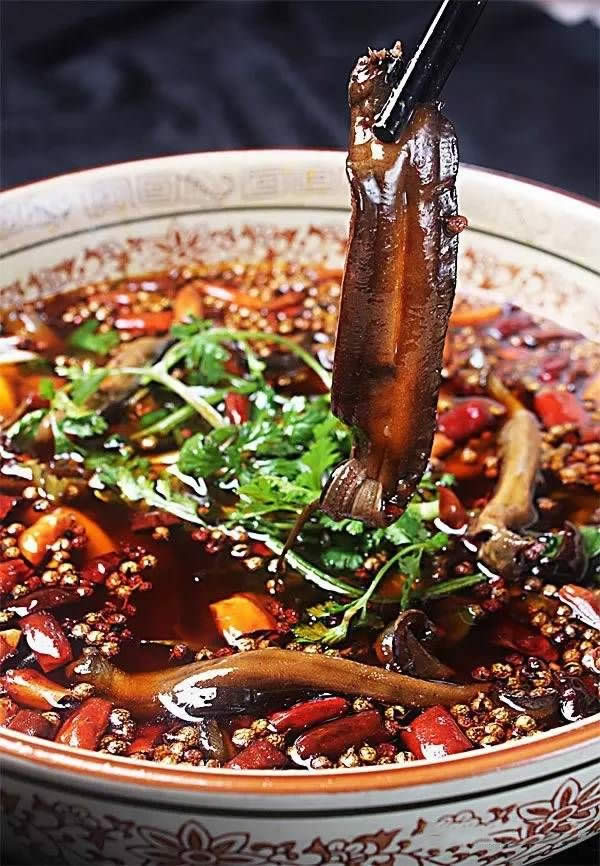 【創新川菜】生烹土鱔魚