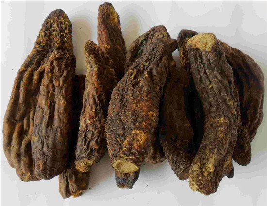 這種被譽為“沙漠人參”的食材，很少人見過