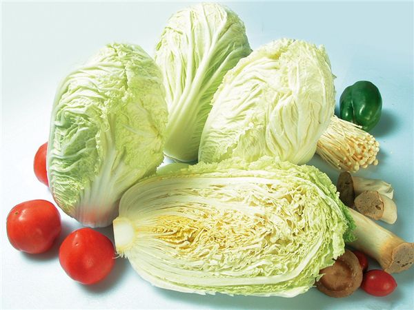 【大白菜】白菜不如大白菜，真的假的？