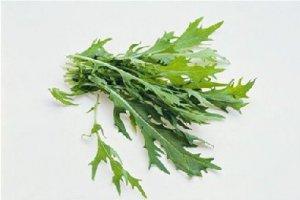 像火箭一樣的蔬菜，好吃到爆！