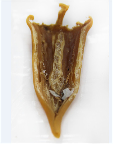 這種干貨口感遠超鮮品，你有沒有用過？