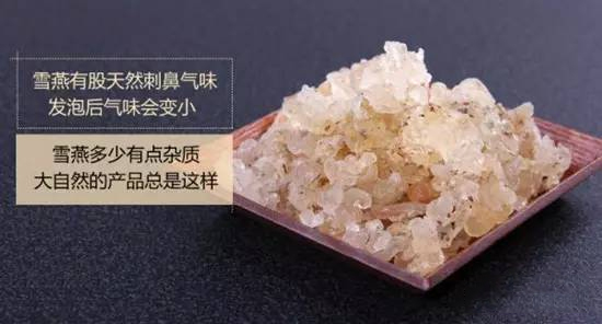 【雪燕】這種燕窩，100個廚師也沒見過！