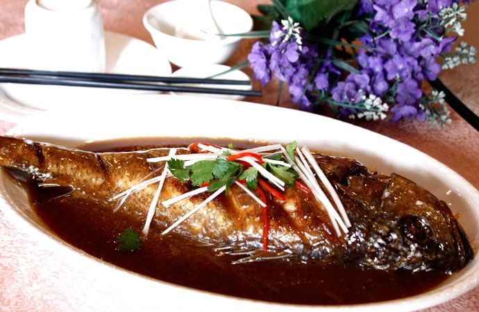 【黃姑魚】會發(fā)出聲音的魚——黃姑魚