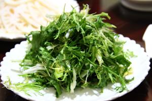 夏季清熱去火佳品——苦苣