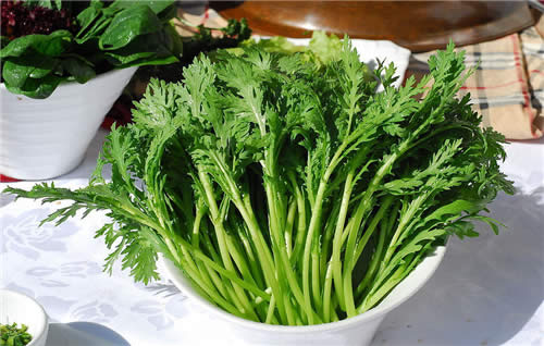 【茼蒿】宮廷佳肴——皇帝菜的做法和營養(yǎng)價值