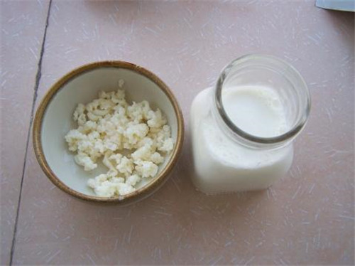 這兩種同樣名為“雪菌”的食材，你都見過嗎？