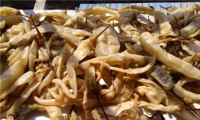 米飯殺手：湖南白辣椒