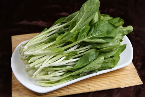 【小白菜】別看它普通，其實富含營養豐富!