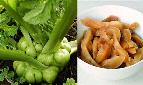 這五種常用的菜根食材，沒想到竟然都是…